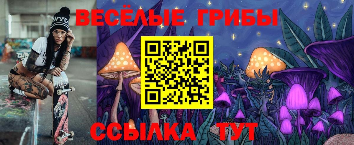 Чернушка  Галлюциногенные грибы GOLDEN TEACHER  Вход с VPN 